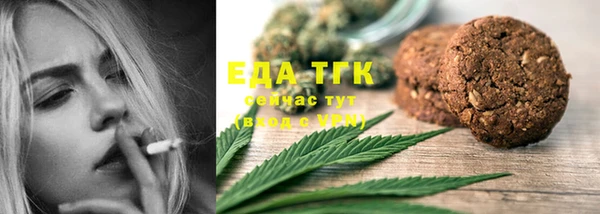 гидра Абаза