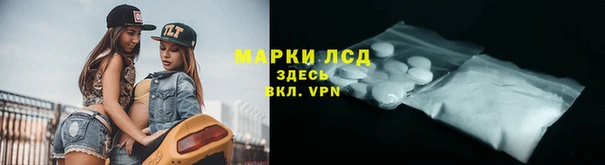 прущий лед Алзамай