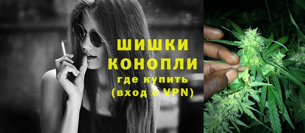 гидра Абаза