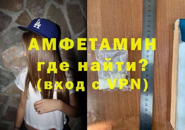 гидра Абаза